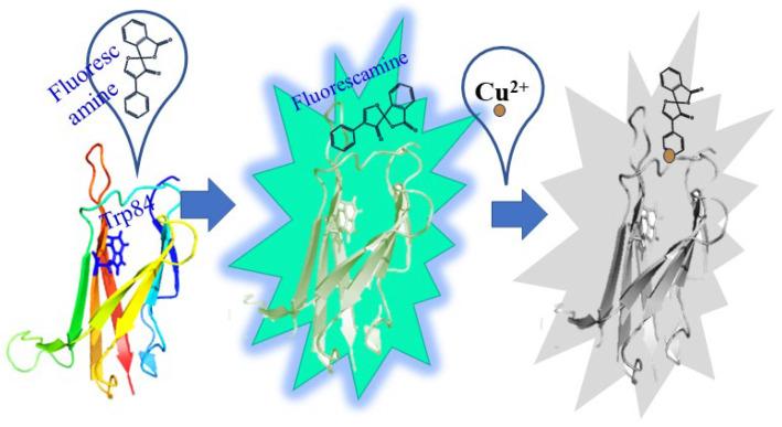 https://cdn.ncbi.nlm.nih.gov/pmc/blobs/0d82/10935257/d61d093cf8ae/molecules-29-01020-sch001.jpg