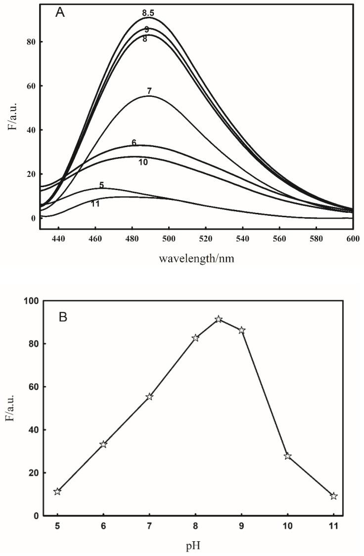 https://cdn.ncbi.nlm.nih.gov/pmc/blobs/0d82/10935257/db683bf3d8a8/molecules-29-01020-g002.jpg