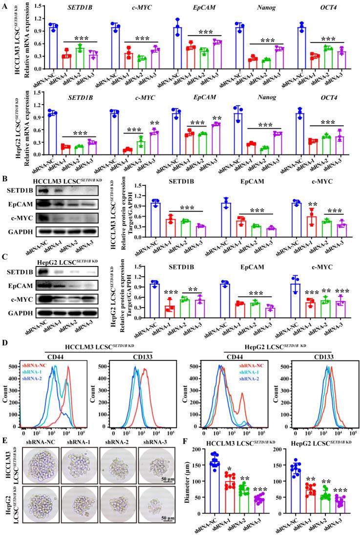 https://cdn.ncbi.nlm.nih.gov/pmc/blobs/0d82/12374818/45abb7dd8814/ijbsv21p4798g003.jpg