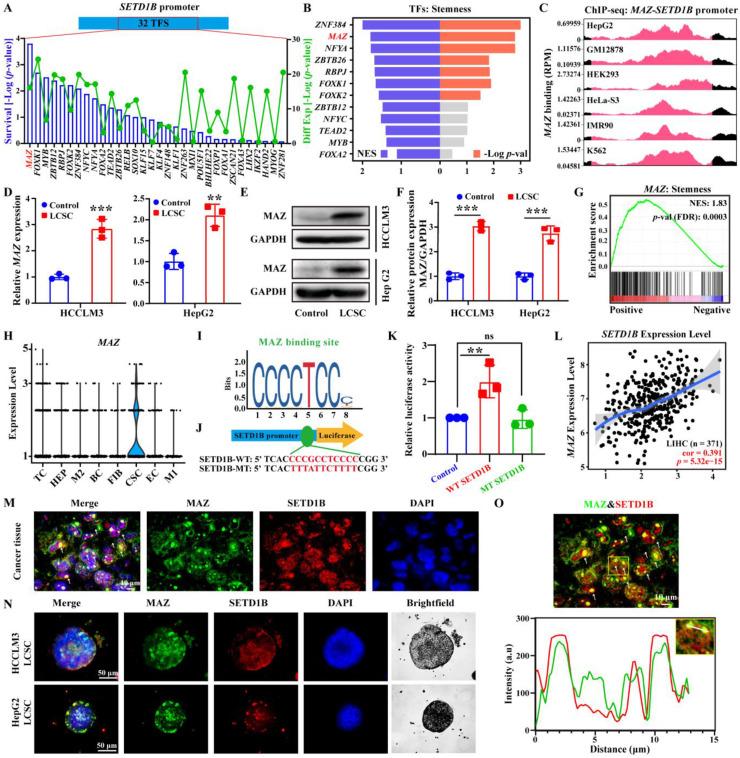 https://cdn.ncbi.nlm.nih.gov/pmc/blobs/0d82/12374818/61c7bcf96ab9/ijbsv21p4798g005.jpg