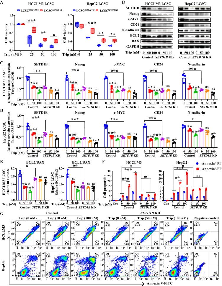 https://cdn.ncbi.nlm.nih.gov/pmc/blobs/0d82/12374818/945d155930be/ijbsv21p4798g007.jpg