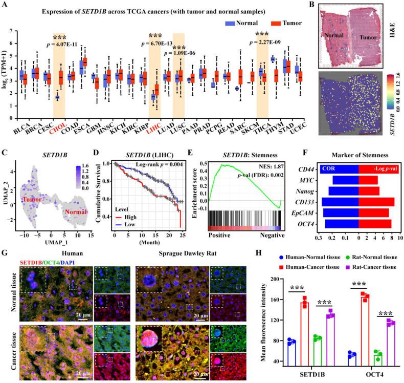 https://cdn.ncbi.nlm.nih.gov/pmc/blobs/0d82/12374818/e73daf7a54ef/ijbsv21p4798g001.jpg
