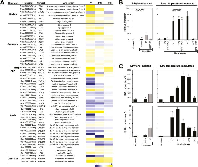 https://cdn.ncbi.nlm.nih.gov/pmc/blobs/0d83/7410192/6ce845b89669/eraa206f0007.jpg