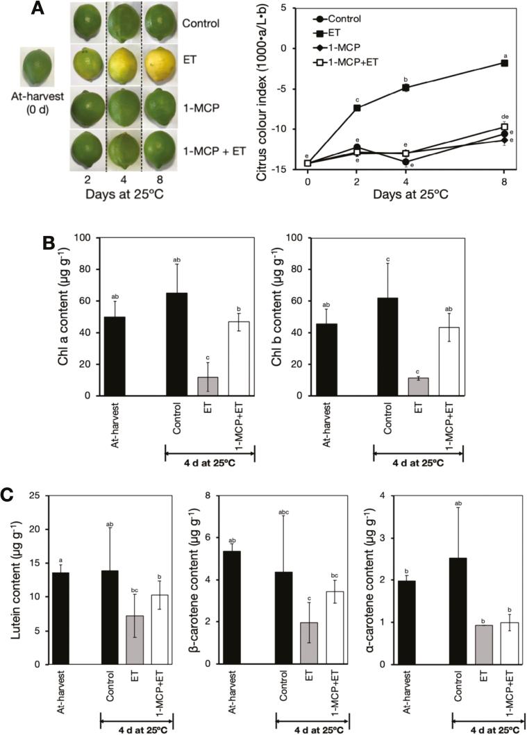 https://cdn.ncbi.nlm.nih.gov/pmc/blobs/0d83/7410192/7d37c6bc55c9/eraa206f0001.jpg