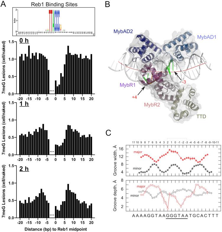 https://cdn.ncbi.nlm.nih.gov/pmc/blobs/0d85/8970589/4fccd84caec7/elife-73943-fig2-figsupp2.jpg
