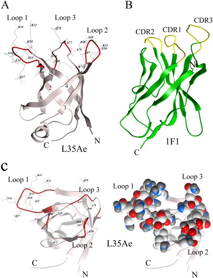 https://cdn.ncbi.nlm.nih.gov/pmc/blobs/0d87/5245882/74ec17a8e62e/pone.0170349.g002.jpg