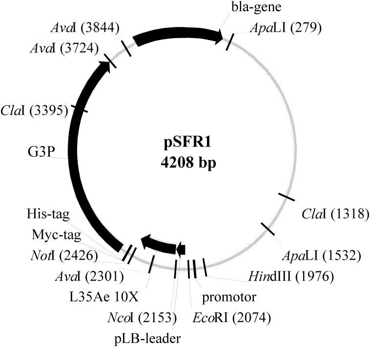 https://cdn.ncbi.nlm.nih.gov/pmc/blobs/0d87/5245882/b2121ba37ce5/pone.0170349.g003.jpg