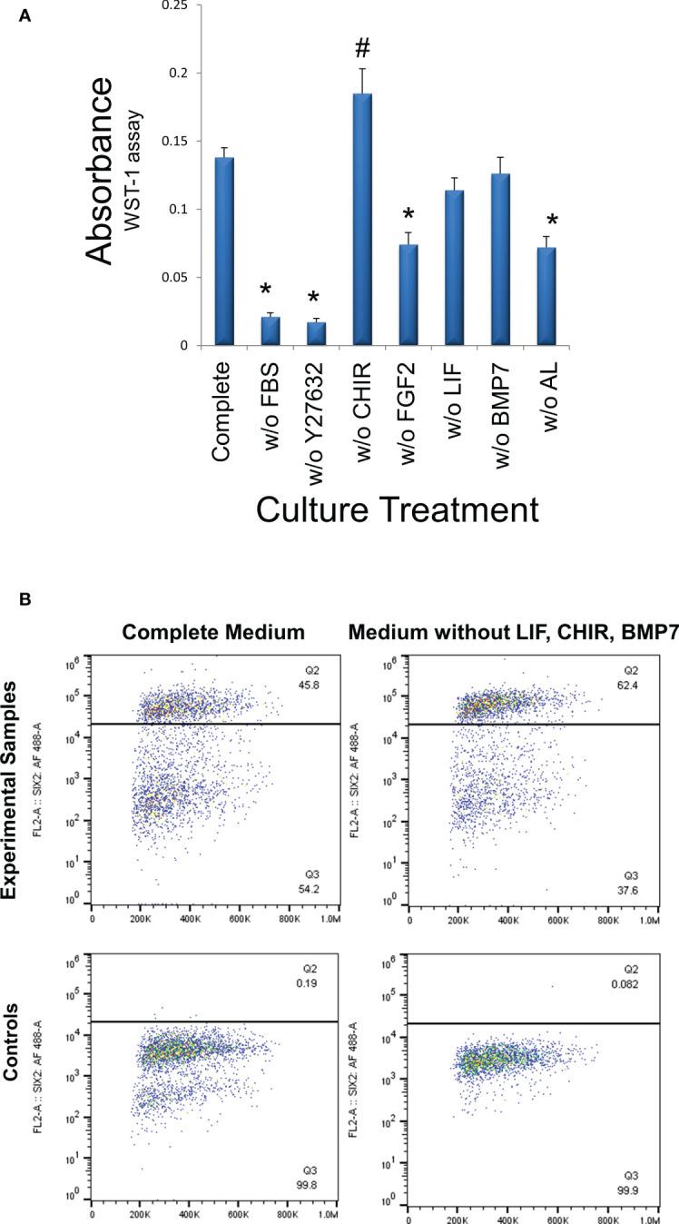 https://cdn.ncbi.nlm.nih.gov/pmc/blobs/0d8b/10061139/21efe406f0c0/fonc-13-1091274-g008.jpg