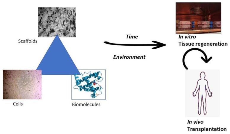https://cdn.ncbi.nlm.nih.gov/pmc/blobs/0d8c/10745545/07118a8b41b5/molecules-28-07974-g004.jpg