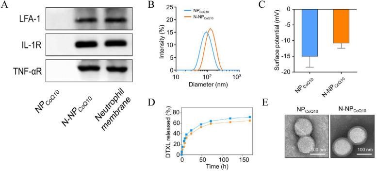 https://cdn.ncbi.nlm.nih.gov/pmc/blobs/0d8d/11523786/cf9b9bdbfcf0/40001_2024_2124_Fig2_HTML.jpg