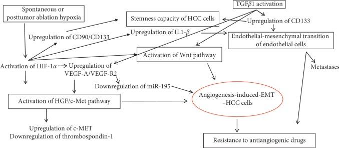 https://cdn.ncbi.nlm.nih.gov/pmc/blobs/0d8d/6855070/b91b0007357a/BMRI2019-2962580.002.jpg
