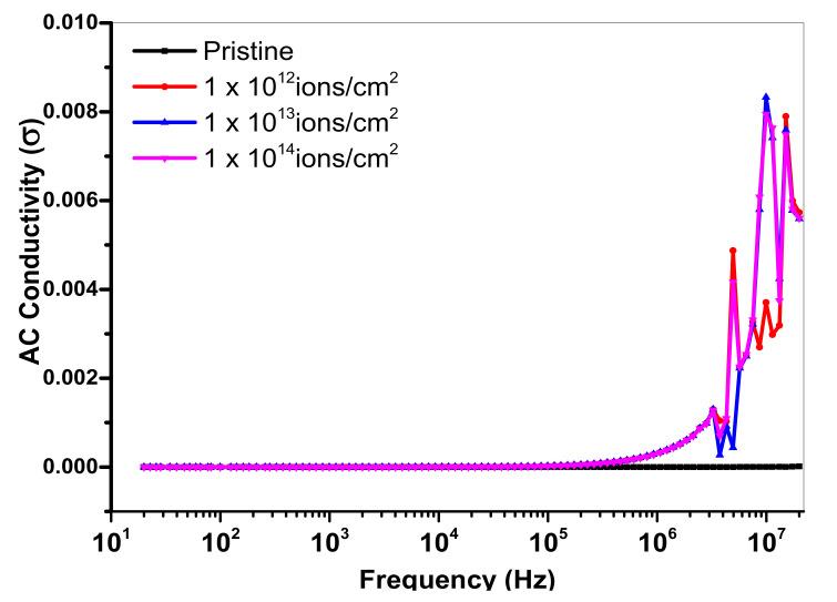 https://cdn.ncbi.nlm.nih.gov/pmc/blobs/0d8d/8005113/85da0252dc55/polymers-13-00973-g013.jpg