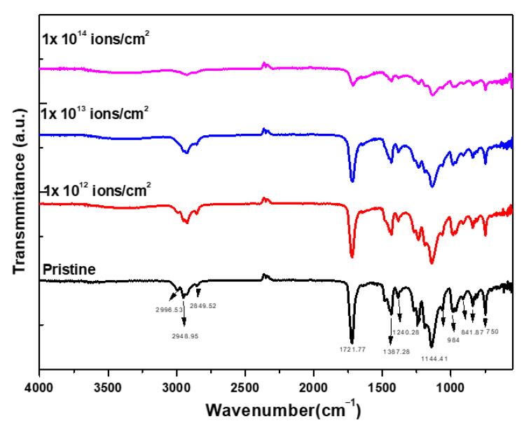 https://cdn.ncbi.nlm.nih.gov/pmc/blobs/0d8d/8005113/bac14073a75c/polymers-13-00973-g005.jpg