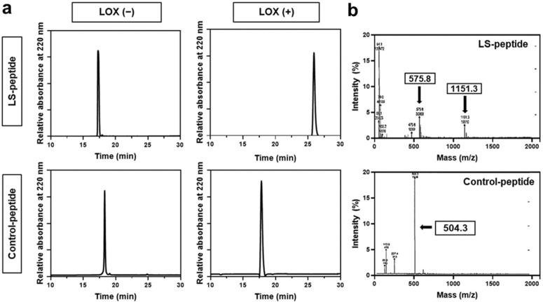 https://cdn.ncbi.nlm.nih.gov/pmc/blobs/0d8e/8471099/7ee1d56f1219/cancers-13-04523-g002.jpg