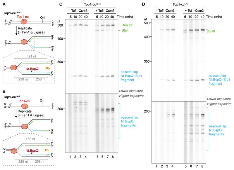 https://cdn.ncbi.nlm.nih.gov/pmc/blobs/0d90/7617106/98b396856b09/EMS201616-f005.jpg