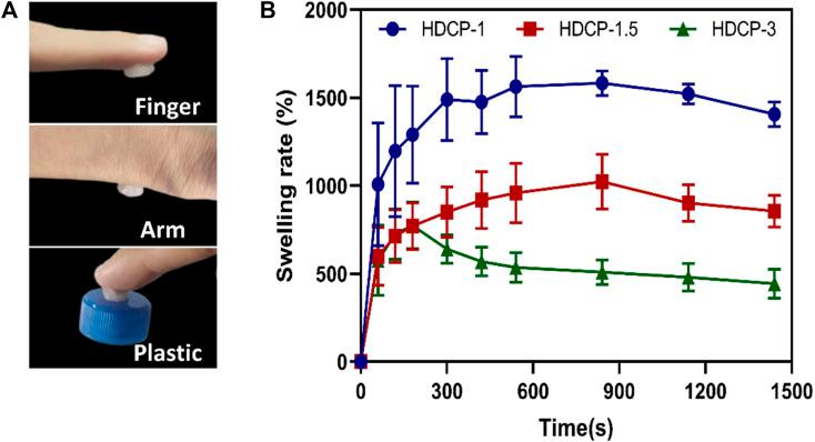 https://cdn.ncbi.nlm.nih.gov/pmc/blobs/0d92/11150582/86cffc9b06d8/fchem-12-1402870-g004.jpg