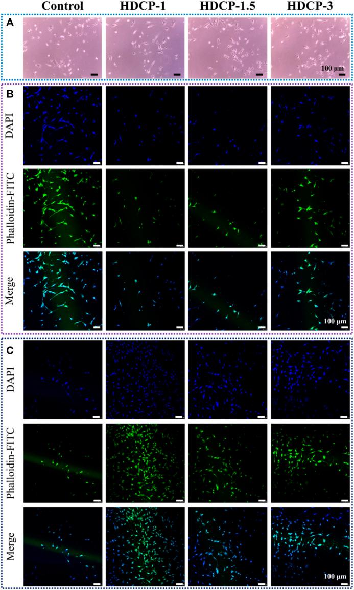 https://cdn.ncbi.nlm.nih.gov/pmc/blobs/0d92/11150582/f2f757e51eed/fchem-12-1402870-g007.jpg