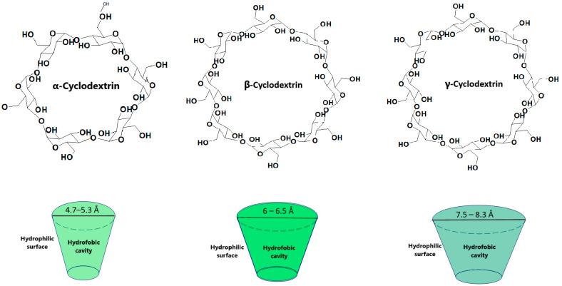 https://cdn.ncbi.nlm.nih.gov/pmc/blobs/0d92/11945013/44f4e864c458/pharmaceutics-17-00288-g001.jpg