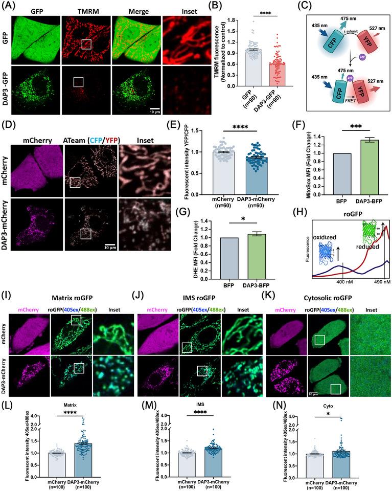 https://cdn.ncbi.nlm.nih.gov/pmc/blobs/0d92/12064944/427be44493c7/MCO2-6-e70214-g009.jpg