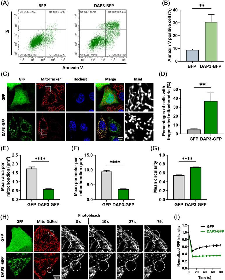 https://cdn.ncbi.nlm.nih.gov/pmc/blobs/0d92/12064944/d2d2bb968bb9/MCO2-6-e70214-g003.jpg