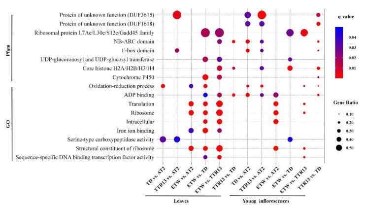 https://cdn.ncbi.nlm.nih.gov/pmc/blobs/0d92/7759873/3bcb9df97a06/genes-11-01401-g003.jpg