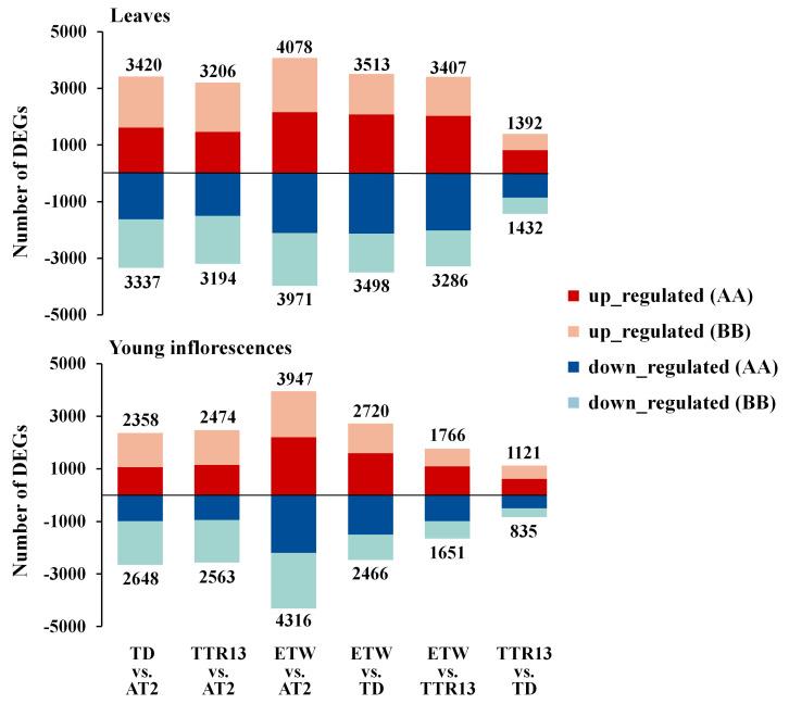 https://cdn.ncbi.nlm.nih.gov/pmc/blobs/0d92/7759873/e266cb8affb4/genes-11-01401-g002.jpg