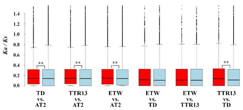 https://cdn.ncbi.nlm.nih.gov/pmc/blobs/0d92/7759873/f522d23a9c1d/genes-11-01401-g005.jpg