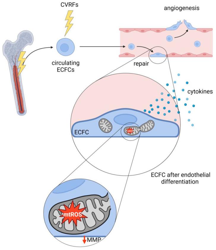 https://cdn.ncbi.nlm.nih.gov/pmc/blobs/0d93/10886154/2310489af08e/biology-13-00070-g004.jpg