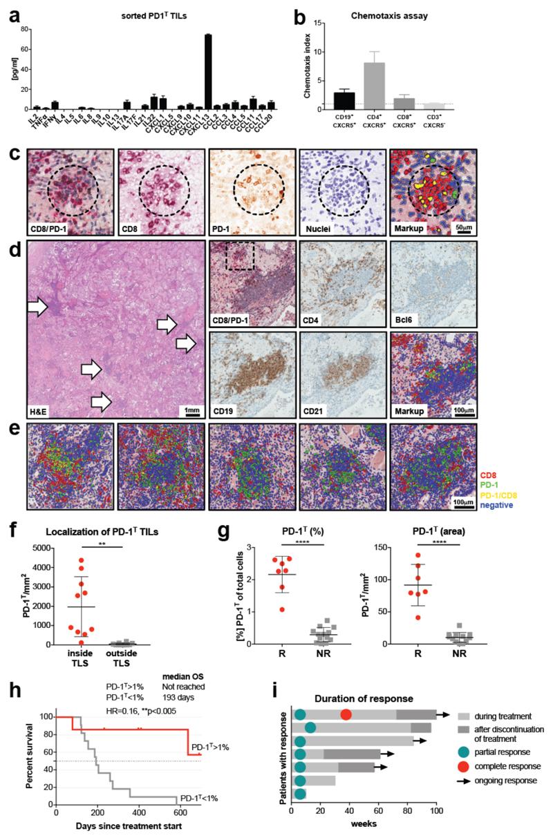 https://cdn.ncbi.nlm.nih.gov/pmc/blobs/0d94/6110381/30f89606a657/emss-77082-f006.jpg