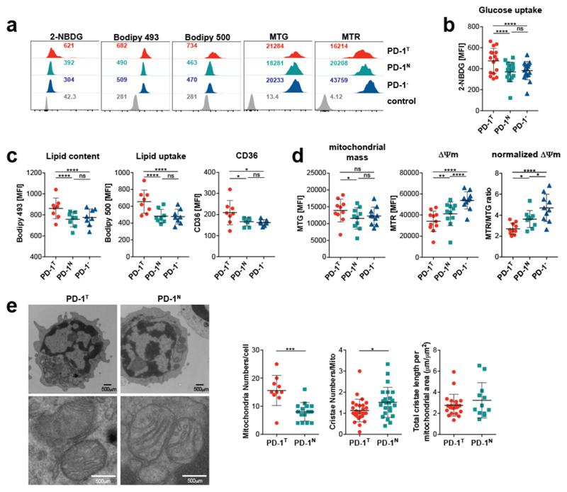 https://cdn.ncbi.nlm.nih.gov/pmc/blobs/0d94/6110381/76e3fed13e64/emss-77082-f004.jpg