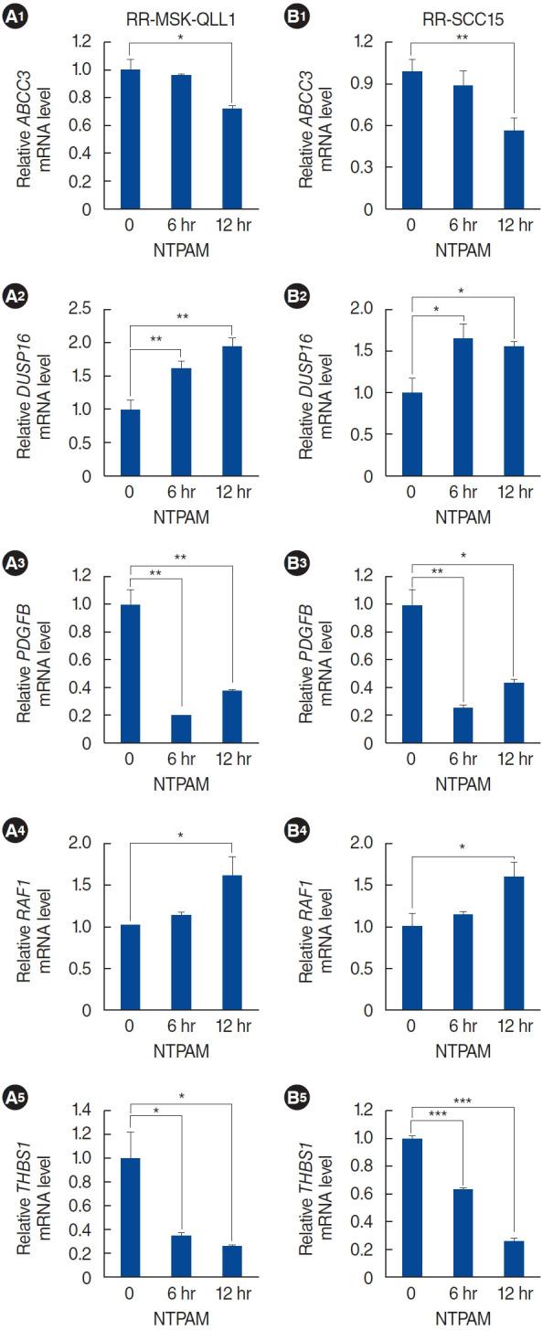 https://cdn.ncbi.nlm.nih.gov/pmc/blobs/0d95/11917201/cce5130d60a9/ceo-2024-00238f7.jpg