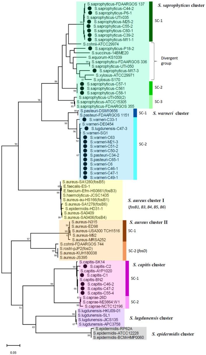 https://cdn.ncbi.nlm.nih.gov/pmc/blobs/0d9a/9031665/5e344d332a2e/pathogens-11-00469-g001.jpg