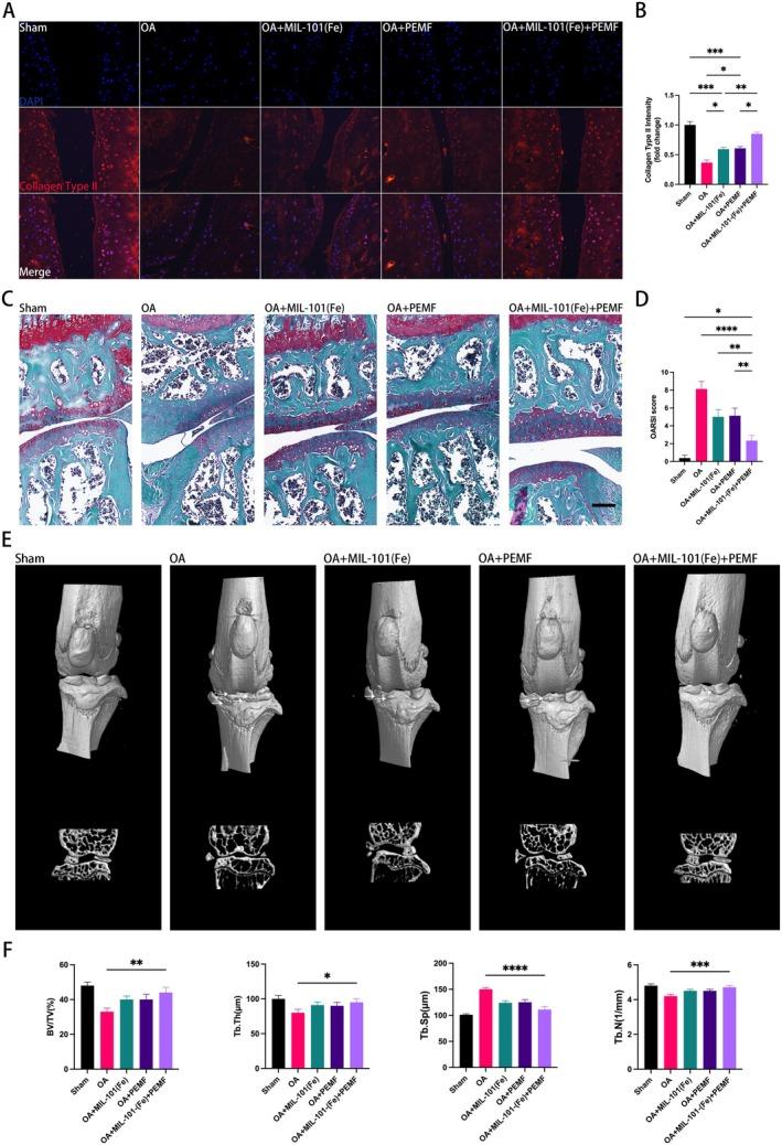 https://cdn.ncbi.nlm.nih.gov/pmc/blobs/0d9b/12077385/379b4fe5e149/FSB2-39-e70652-g001.jpg