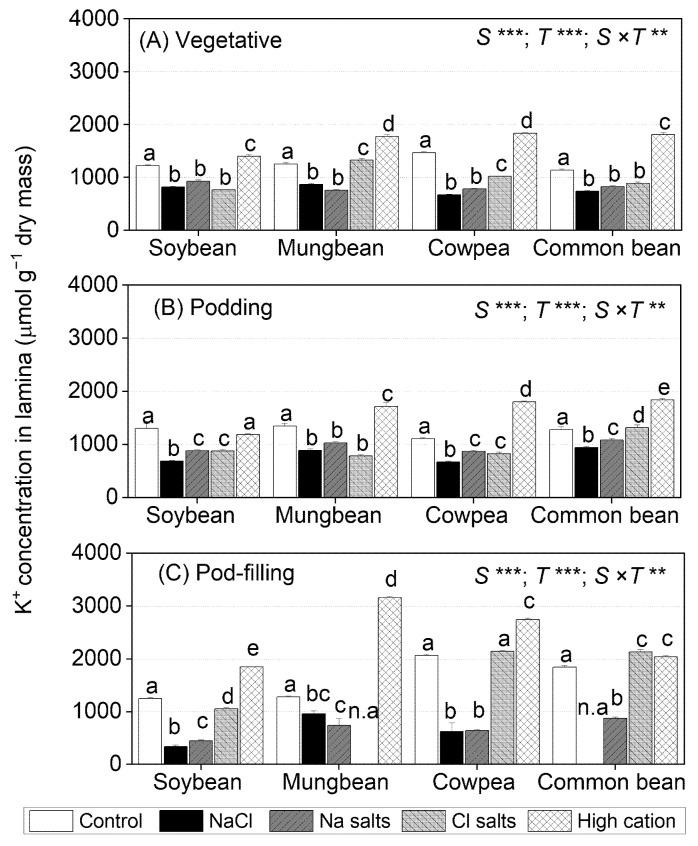 https://cdn.ncbi.nlm.nih.gov/pmc/blobs/0d9b/7918652/5088e596e7ad/ijms-22-01909-g004.jpg
