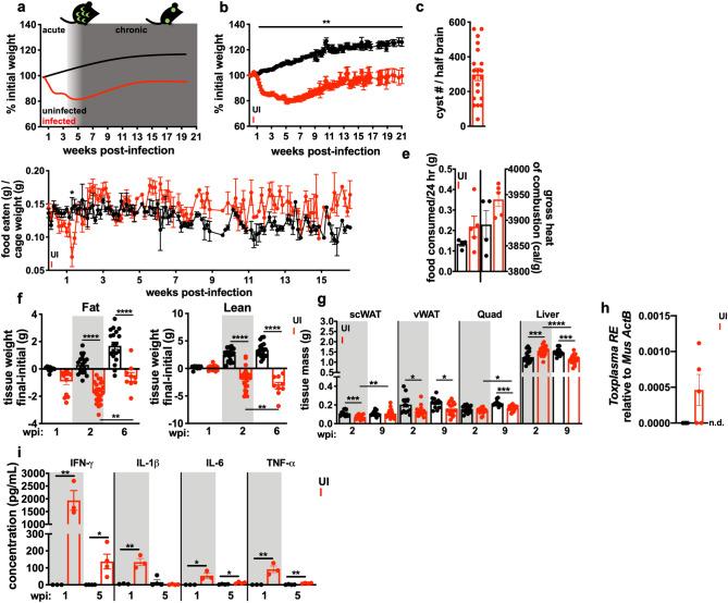 https://cdn.ncbi.nlm.nih.gov/pmc/blobs/0d9d/7515928/85771cdac2cb/41598_2020_72767_Fig1_HTML.jpg
