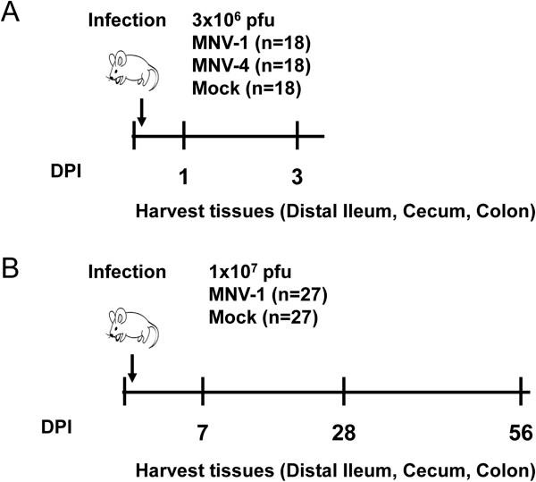 https://cdn.ncbi.nlm.nih.gov/pmc/blobs/0d9e/4177540/e38ec406c475/2049-2618-1-7-1.jpg