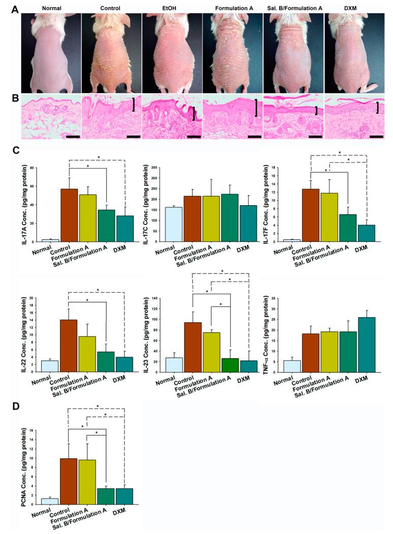 https://cdn.ncbi.nlm.nih.gov/pmc/blobs/0d9e/7284938/3659bf73ca36/pharmaceutics-12-00457-g005.jpg