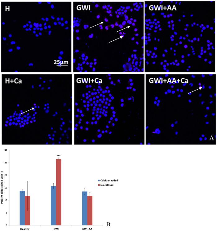 https://cdn.ncbi.nlm.nih.gov/pmc/blobs/0d9e/7328487/f61ad9950360/10.1177_2633105520931966-fig2.jpg