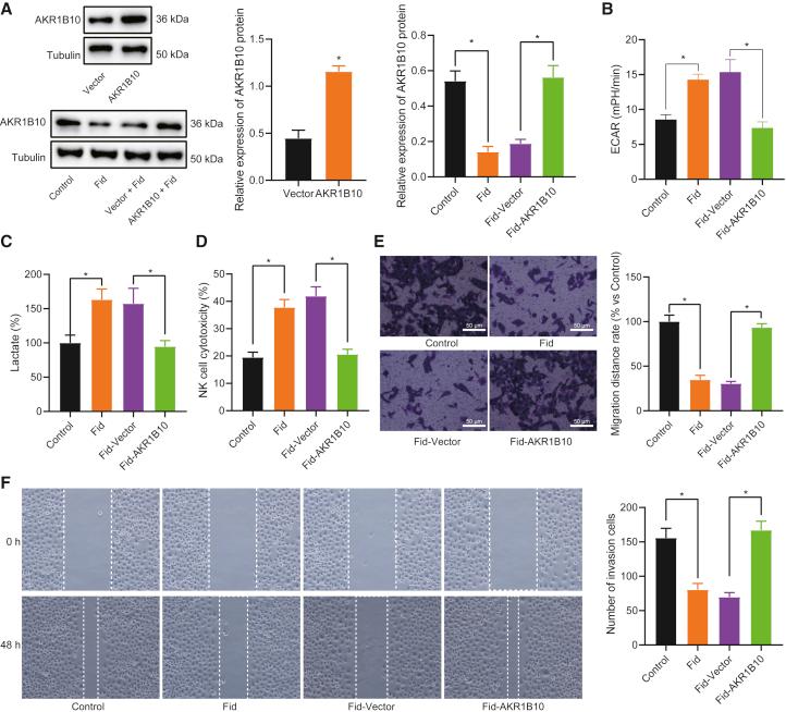 https://cdn.ncbi.nlm.nih.gov/pmc/blobs/0d9e/8605295/9ee7bbccc6fd/gr6.jpg