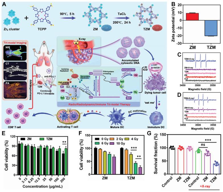 https://cdn.ncbi.nlm.nih.gov/pmc/blobs/0d9f/12299130/4cadebce425c/pharmaceutics-17-00883-g004.jpg