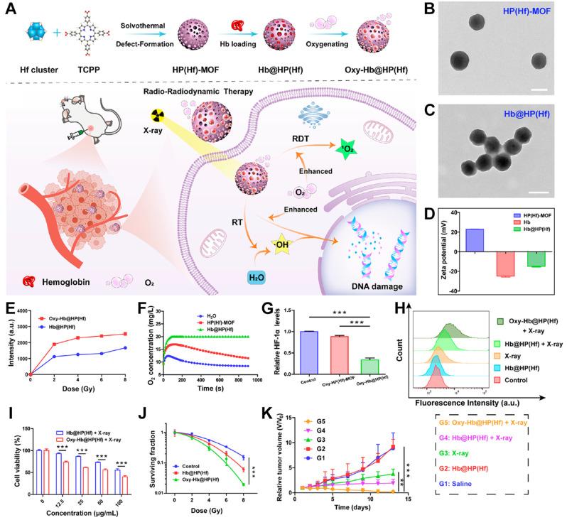 https://cdn.ncbi.nlm.nih.gov/pmc/blobs/0d9f/12299130/b9172e4acf00/pharmaceutics-17-00883-g008.jpg