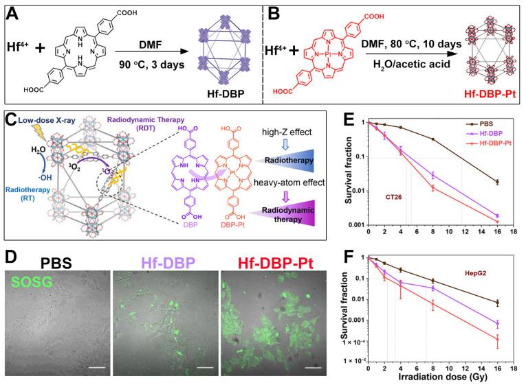 https://cdn.ncbi.nlm.nih.gov/pmc/blobs/0d9f/12299130/fd664d74f1e1/pharmaceutics-17-00883-g007.jpg