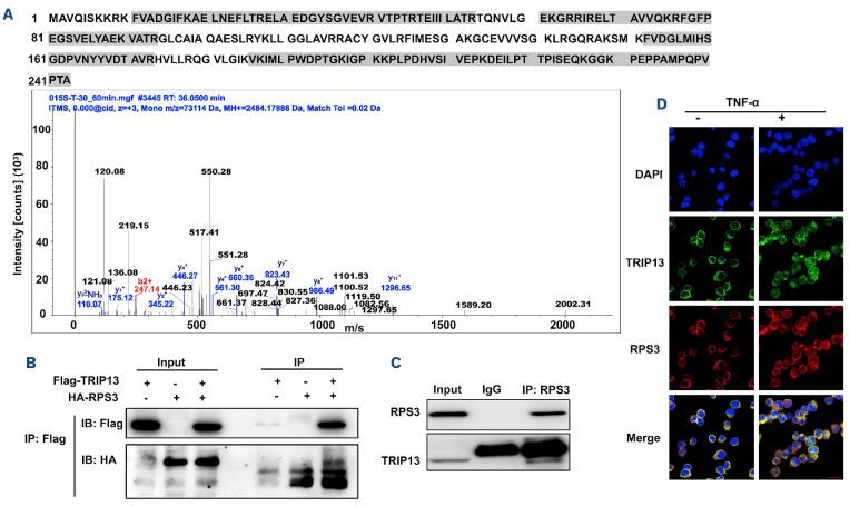 https://cdn.ncbi.nlm.nih.gov/pmc/blobs/0da3/10985453/730145d5185e/1091206.fig2.jpg