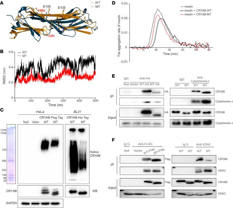 https://cdn.ncbi.nlm.nih.gov/pmc/blobs/0da3/11721302/169e59bc619b/jciinsight-10-182209-g275.jpg