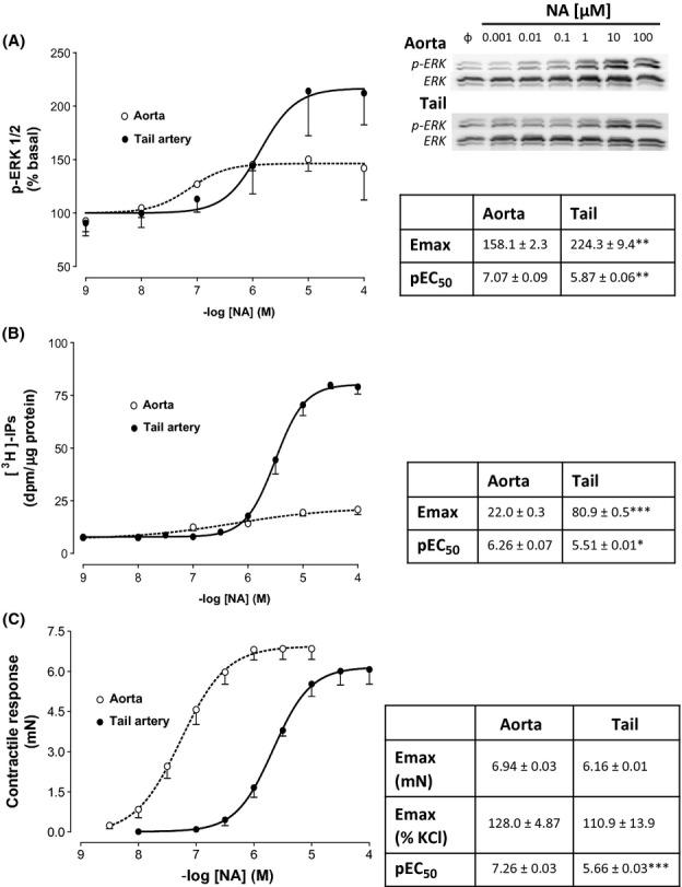 https://cdn.ncbi.nlm.nih.gov/pmc/blobs/0da3/4184566/0f646bb80ad8/prp20001-e00001-f1.jpg