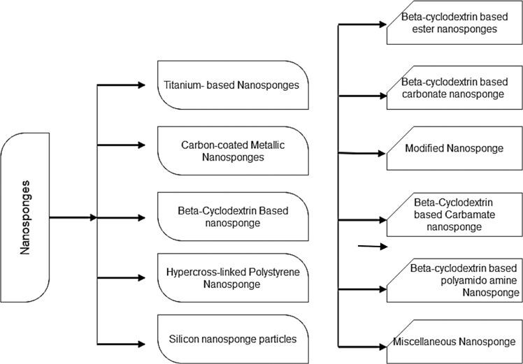 https://cdn.ncbi.nlm.nih.gov/pmc/blobs/0da3/8897344/dbf17d1c7215/10856_2022_6652_Fig1_HTML.jpg