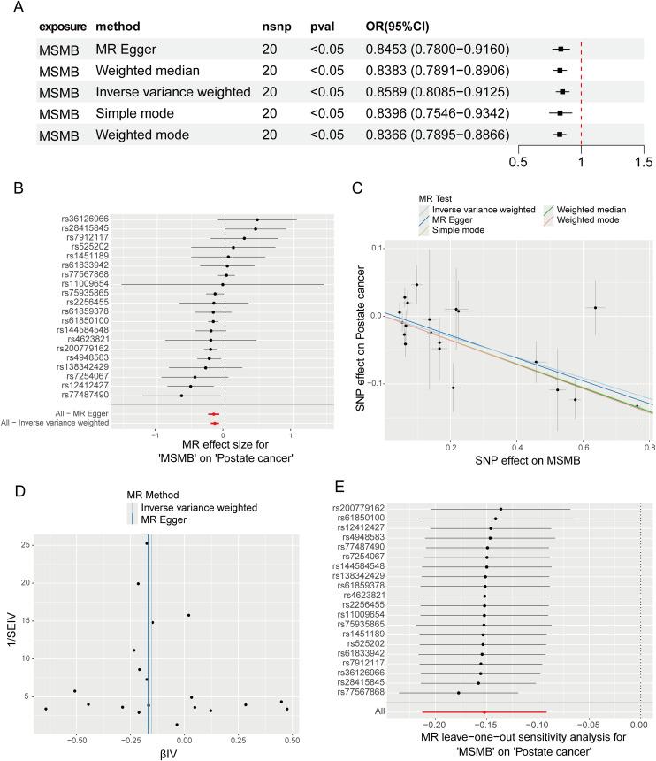 https://cdn.ncbi.nlm.nih.gov/pmc/blobs/0da5/12009700/891dd4cea00f/fonc-15-1534612-g008.jpg