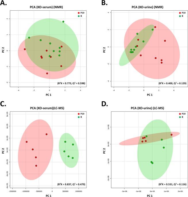 https://cdn.ncbi.nlm.nih.gov/pmc/blobs/0da5/6702159/4ea24d213ab2/41598_2019_48315_Fig3_HTML.jpg