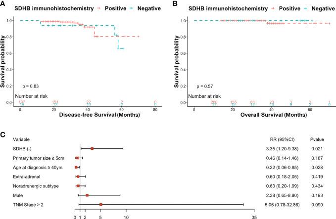 https://cdn.ncbi.nlm.nih.gov/pmc/blobs/0da6/10061060/6bc0f50ee7b9/fendo-14-1121397-g003.jpg
