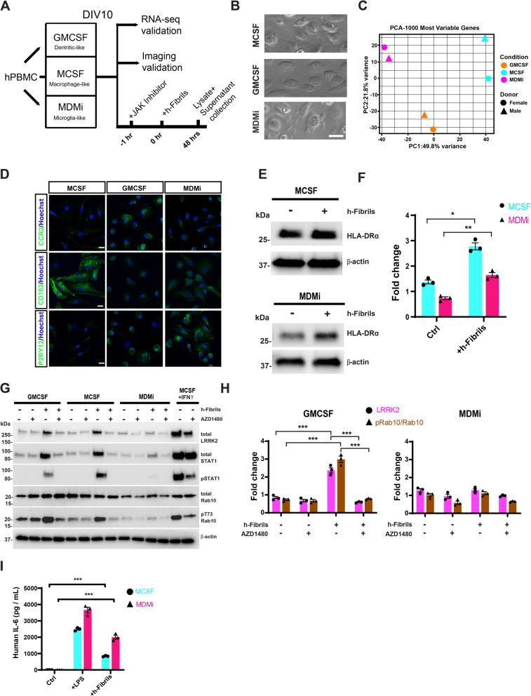 https://cdn.ncbi.nlm.nih.gov/pmc/blobs/0da7/8751347/09fe224703ed/13024_2021_509_Fig3_HTML.jpg